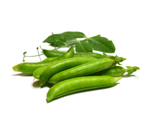 Erbsen (Bio)