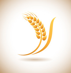 Wheat ears icon