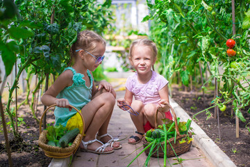 Cute little girls collect crop cucumbers in the greenhouse