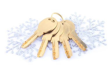 Brand-new house keys as Christmas gift