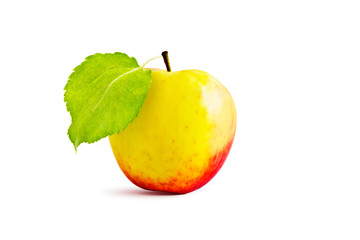 apple and leaves