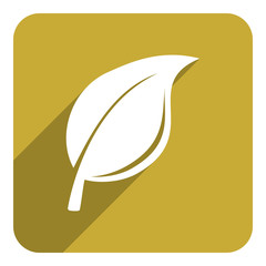 leaf flat  icon