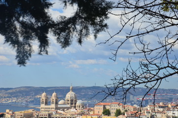Fototapeta na wymiar Jardin de la colline Puget, Marseille