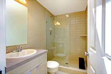 Bathroom interior with glass door shower