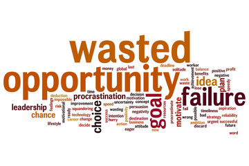 Wasted opportunity word cloud