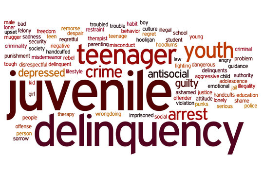 Juvenile delinquency word cloud
