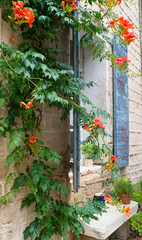 Fototapeta na wymiar Window in the Provence.