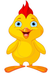 Funny Chick