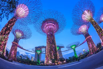 Foto op Canvas SINGAPORE - MARCH 27: Night view of Supertree Grove at Gardens b © Art Stocker