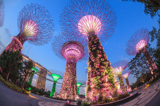 SINGAPORE - MARCH 27: Night view of Supertree Grove at Gardens b
