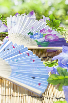 夏の風物詩