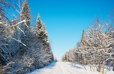 snow-covered road