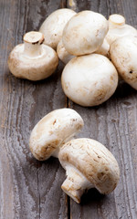 Big Raw Champignons