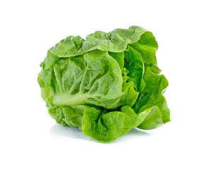 lettuce leaves isolated on white background