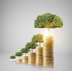 tree growing from coins