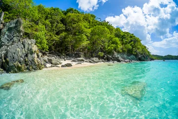 Fototapete Karibik Wunderschöner karibischer Strand