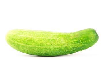 Fresh cucumber