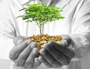 Investing to green business
