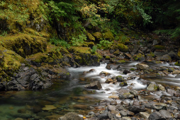 Fototapeta premium Cascade Mountain Stream