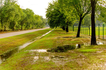 flooded park with standing water