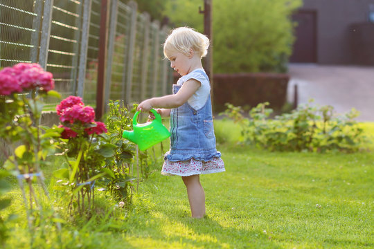 Cute Toddler Girl Watering Flowers In The Backyard Garden