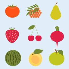 Flat modern design vector illustration of Fruit and Vegetables