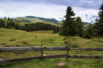 Fototapeta premium Alpe di Siusi