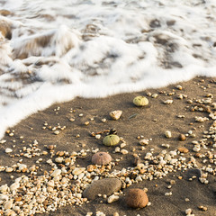 Detail eines Strandes auf Teneriffa