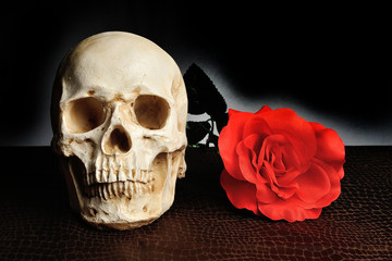髑髏とバラの花
