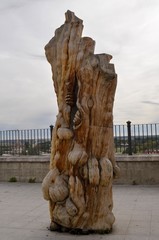 La columna toscana de Tordesillas