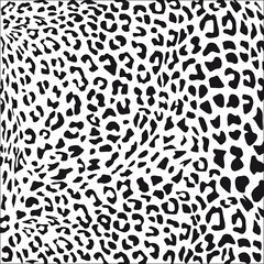 Naklejka premium Leopardenfell schwarz weiß