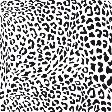 Leopardenfell schwarz weiß