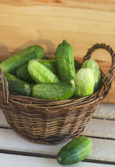 Fresh cucumbers in a wicker basket