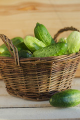 Fresh cucumbers