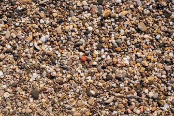 sea stone background