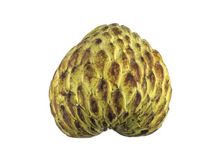 Sugar apple