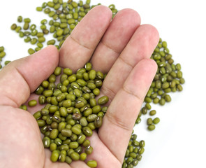 green bean or mung beans