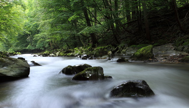 Die Schwarza im Th&uuml;ringer Wald