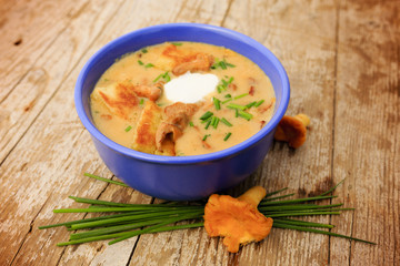 Chanterelle - Cream of chanterelle mushroom soup
