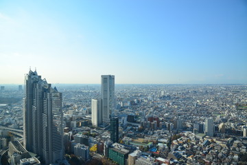 Fototapeta na wymiar Panorama view of Tokyo in Japan
