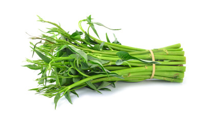 Morning glory green vegetable