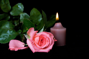 Fototapeta na wymiar Rose and candle