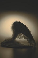 angel's wings on white background with glow - retro