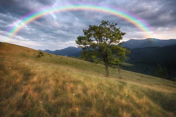 Photo sur Plexiglas Été Mountains rural landscape and rainbow