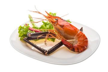 Giant Freshwater Prawn