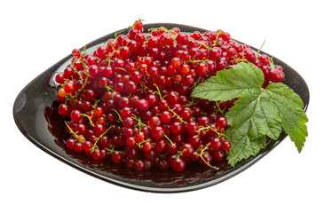 Red currant