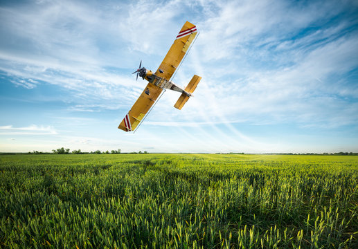Fototapeta plane sprayed crops in the field