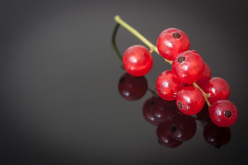 red currants