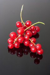 red currants