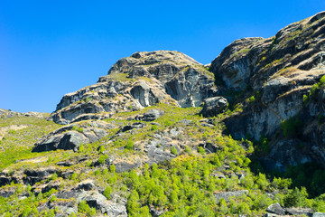 Picturesque landscape